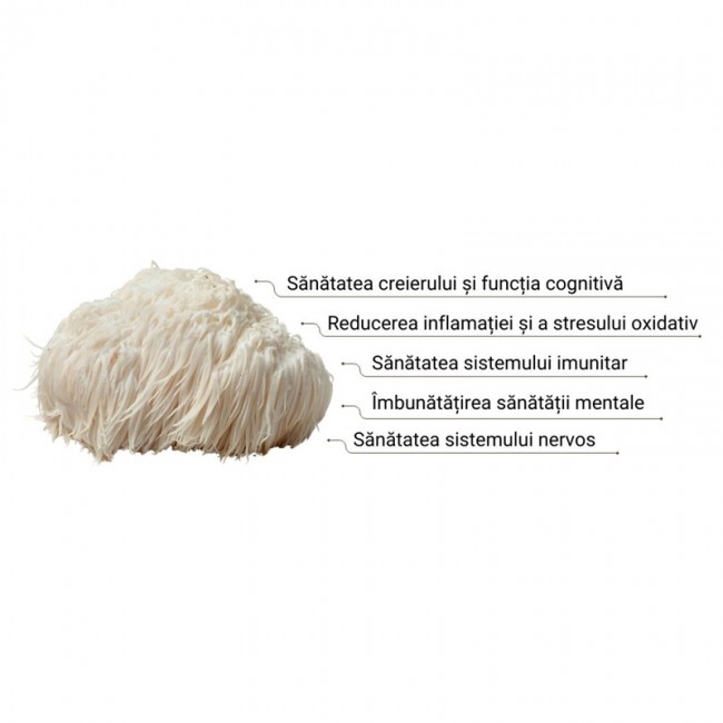 Organic Lions Mane Mushroom 1000 mg Pure Grade Extract Powder (60g), MushroomsForLife