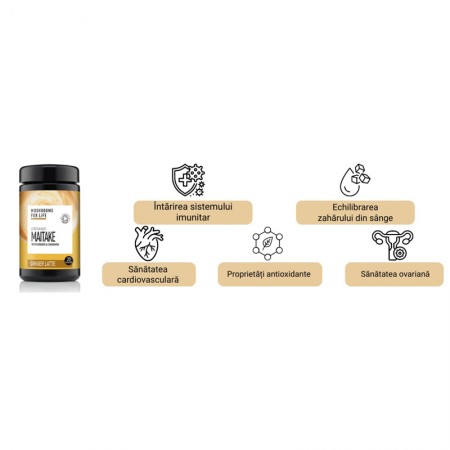 Organic Maitake Ginger Latte 1000 mg Pure Grade Extract 110 grame (20 portii), MushroomsForLife