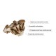 Organic Maitake 1000 mg Pure Grade Extract Powder (60 grame), MushroomsForLife