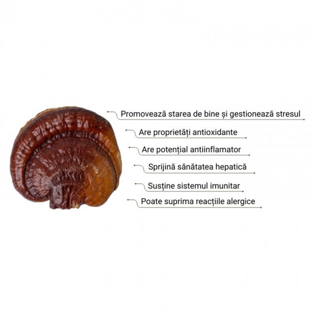 Organic Reishi 1000 mg Pure Grade Extract Powder (60 grame), MushroomsForLife