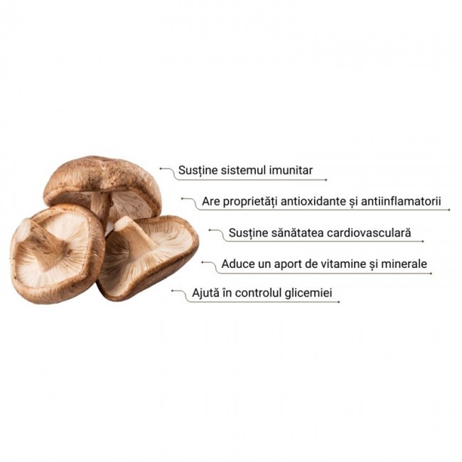 Organic Shiitake 1000 mg Pure Grade Extract Powder (60 grame), MushroomsForLife