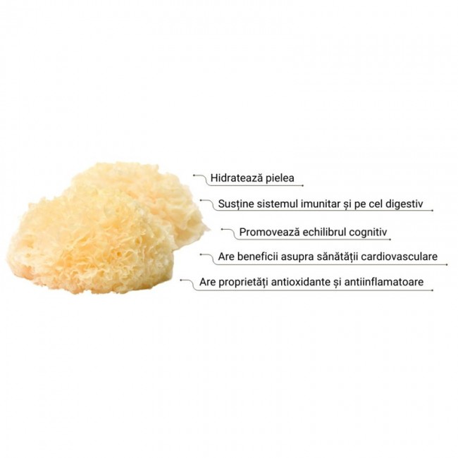 Organic Tremella 1000 mg Pure Grade Extract Powder (60 grame), MushroomsForLife